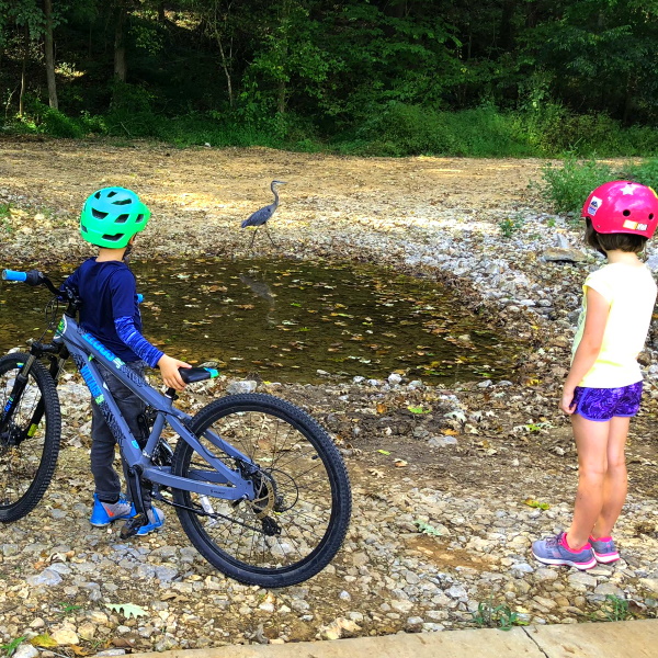 Coler Mountain Bike Preserve riding with kids